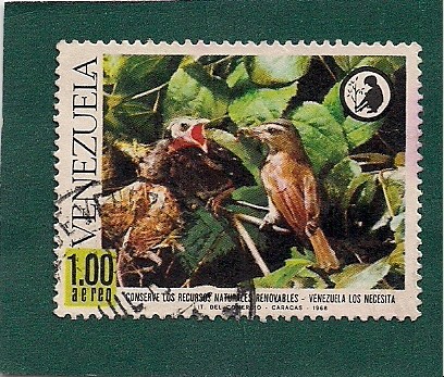 Conservacion de los Recursos Naturales