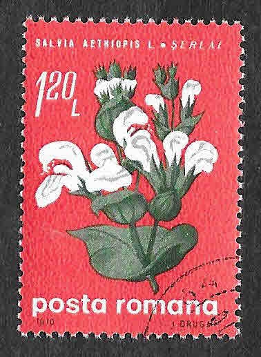 2158 - Flores