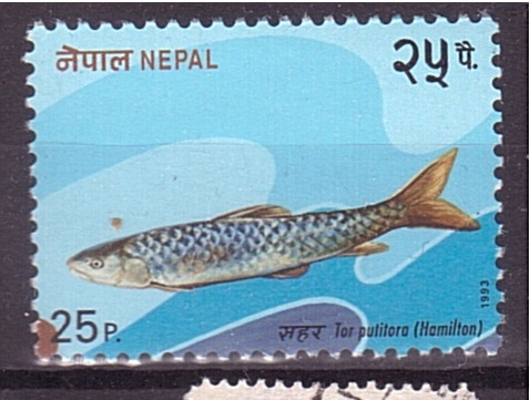 serie- Peces de Nepal