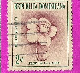 Flor de la Caoba