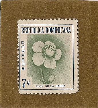 Flor de la Caoba