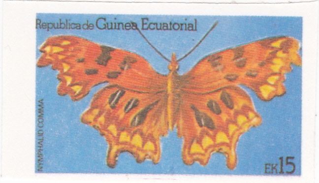 mariposa