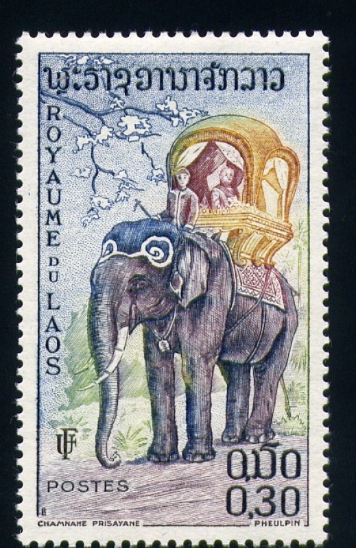 Trarnsporte en elefante
