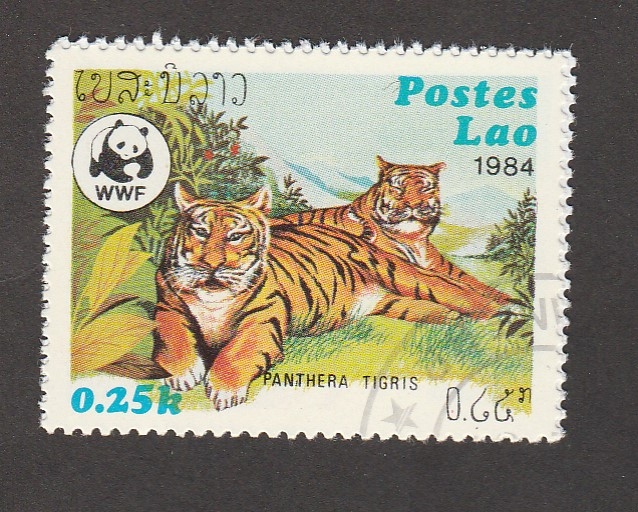 Tigres