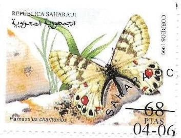 mariposas