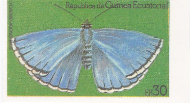 mariposa