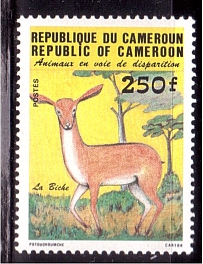 Animales en peligro de extinción