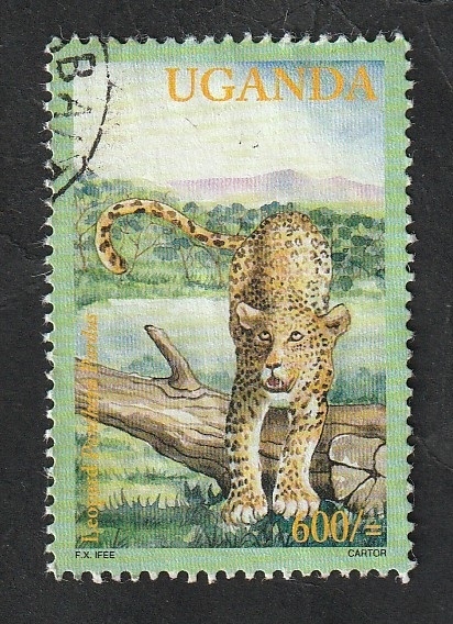 1933 - Leopardo