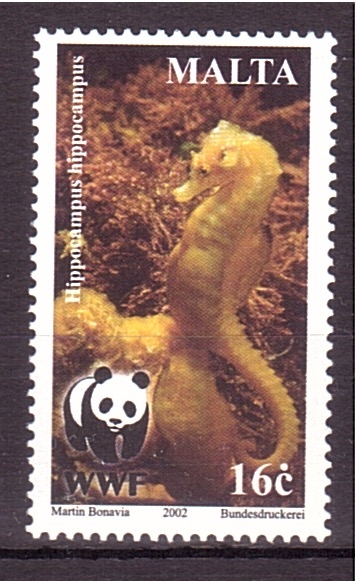 serie- Fauna protegida