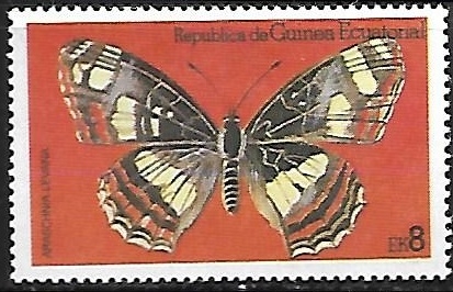 Mariposa - Araschnia levana)