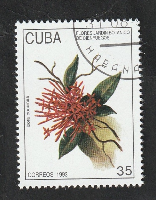 3317 - Flor del Jardín Botánico de Cienfuegos