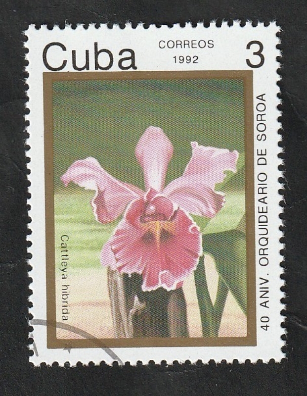 3218 - 40 Anivº orquideario de Soroa