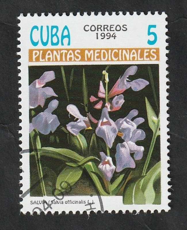 3357 - Plantas medicinales