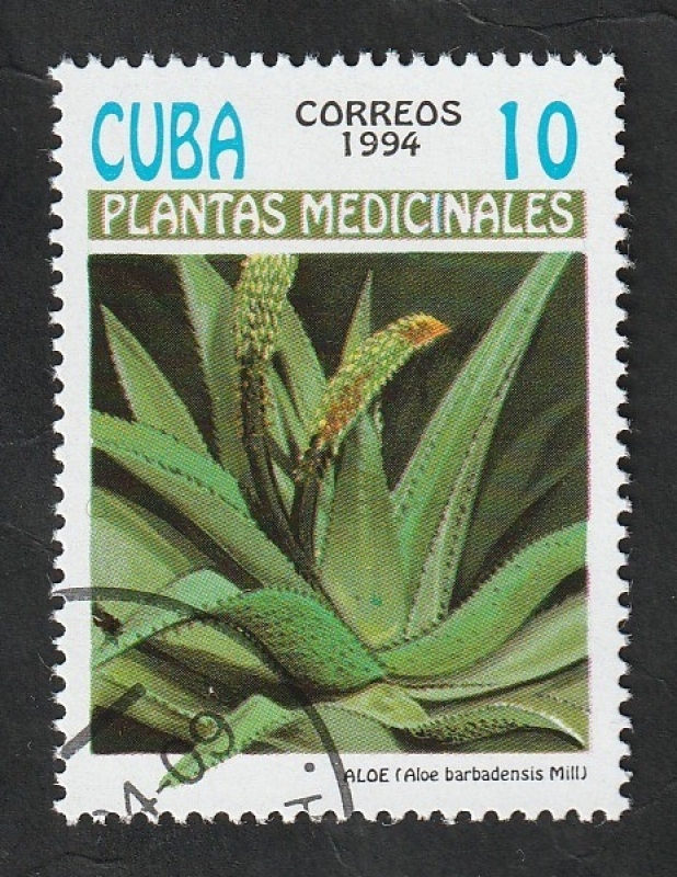 3358 - Plantas medicinales