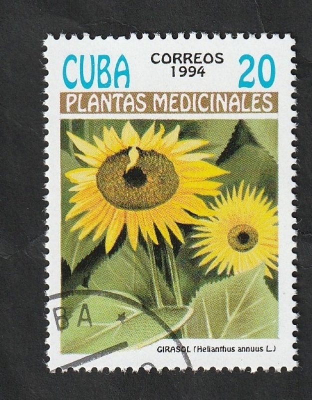 3359 - Plantas medicinales