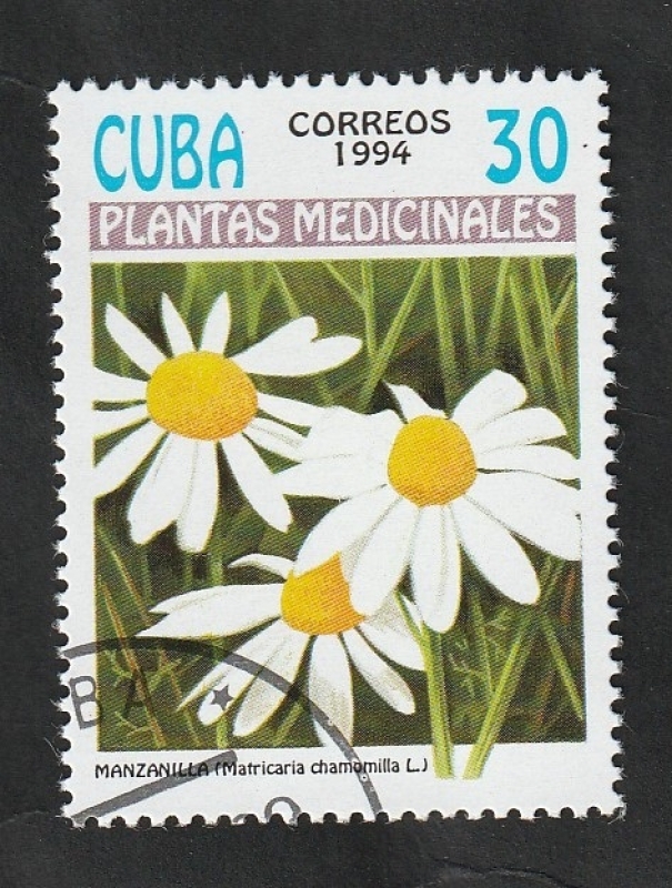 3360 - Plantas medicinales