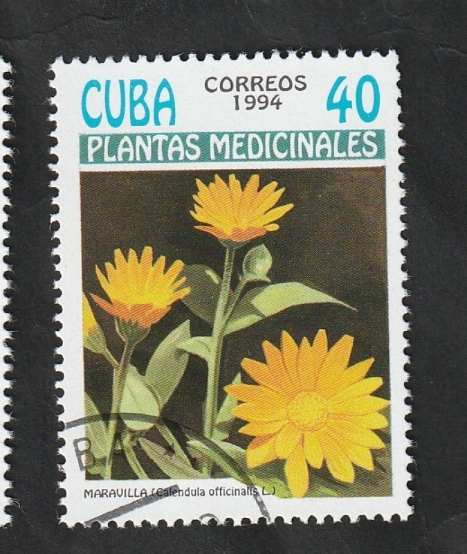 3361 - Plantas medicinales