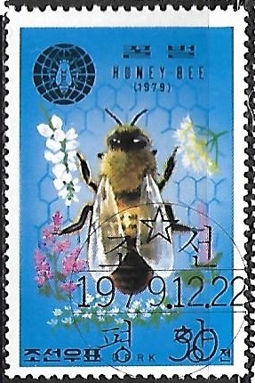 Abeja