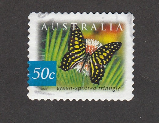 Mariposa con manchas triangulares verdes