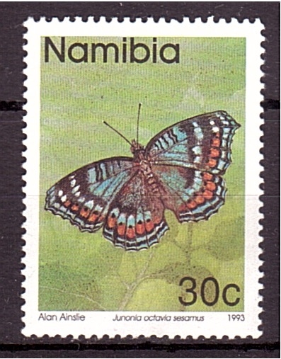 serie- Mariposas