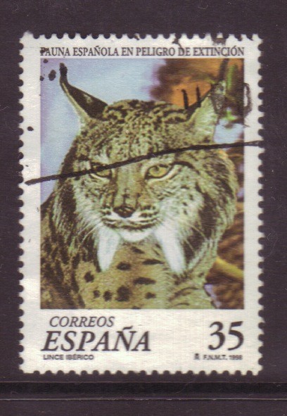 Fauna española en peligro de extinción