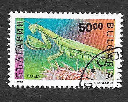 3717 - Mantis Religiosa