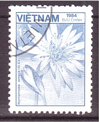 serie- Fauna y flora