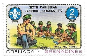  scouts