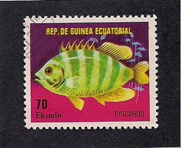 Pez