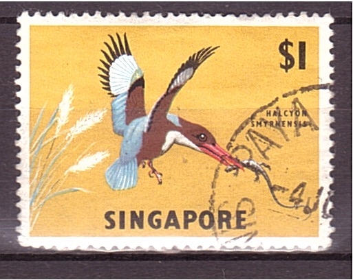 serie- Fauna y flora de Singapur