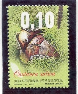Frutas