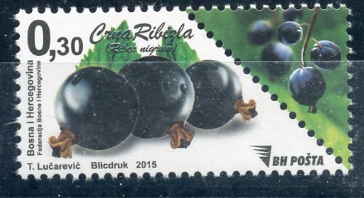 Frutas