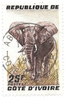 elefante