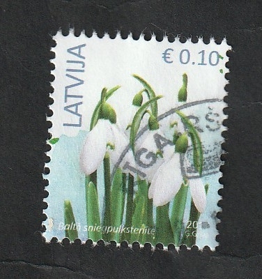 980 - Flores