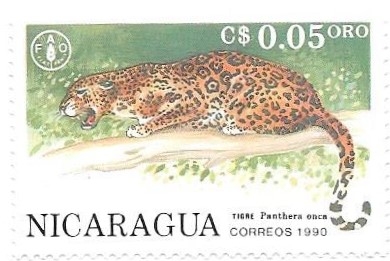 jaguar