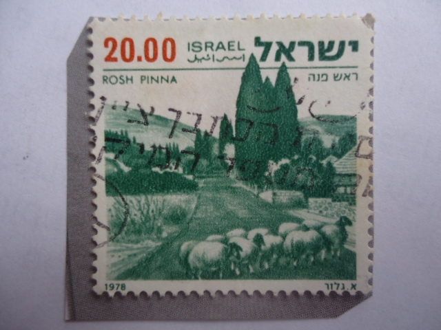 Rosh Pinna - Paisaje - Rebaño - Serie: Paisajes de Israel