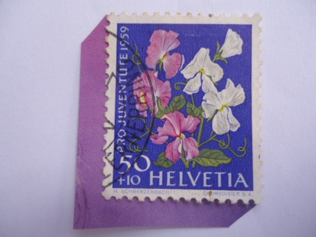 Pro Juventute 1959 - Guisante de olor (Lathyrus Odoratus) - (Sweet Pea) Serie:Flores del Jardín,Karl