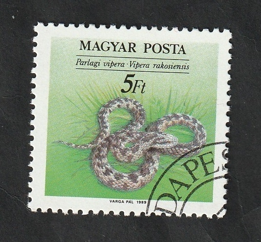 3226 - Reptil, víbora