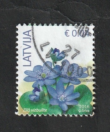 957 - Anemonas azules