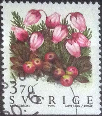 Scott#2123 , nf4b intercambio 0,45 usd , 3,70 krona , 1995