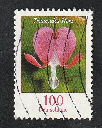 2370 - Flor dicentra spectabilis