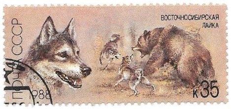perros de caza