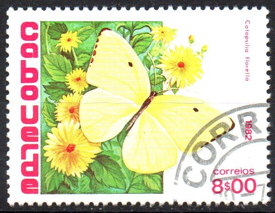 CATOPSILIA  FLORELLA.  Scott 459.