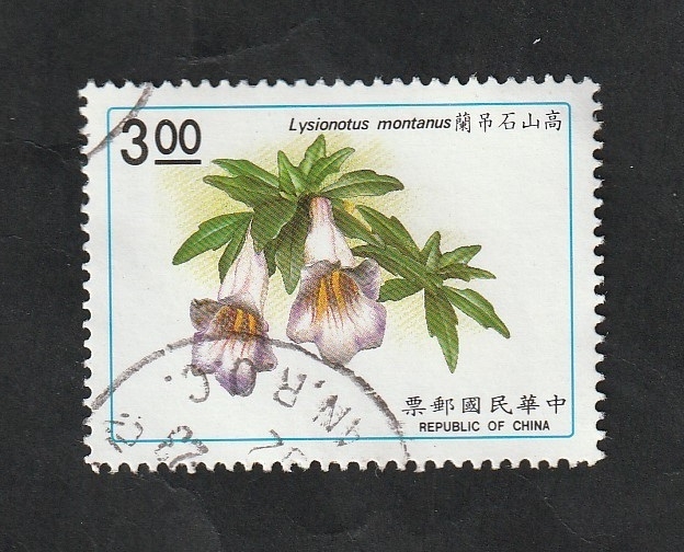 1911 - Planta lysionotus montanus