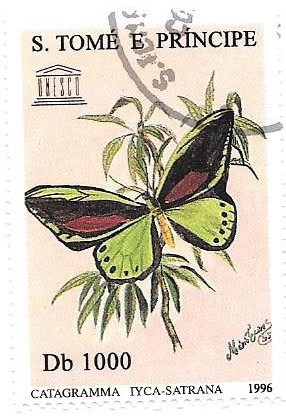 mariposas