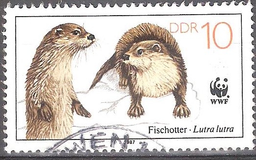 Animales en peligro de extinción, nutrias (DDR). - 10 pf.