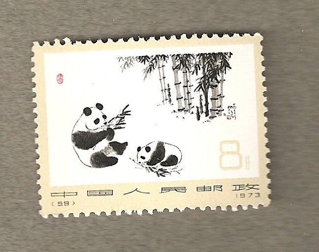 Dos osos panda
