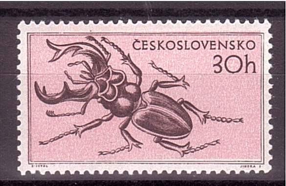 serie- Fauna salvaje