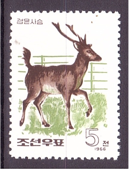 serie- Cérvidos del zoo de Pyongyang