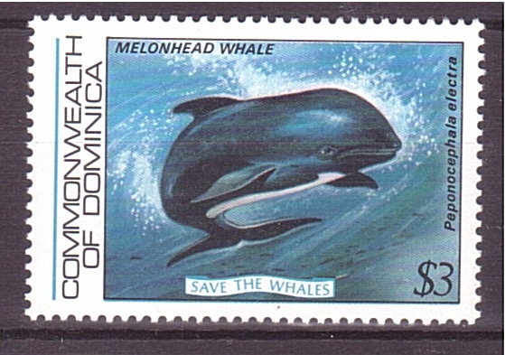 serie- Salvar a las ballenas